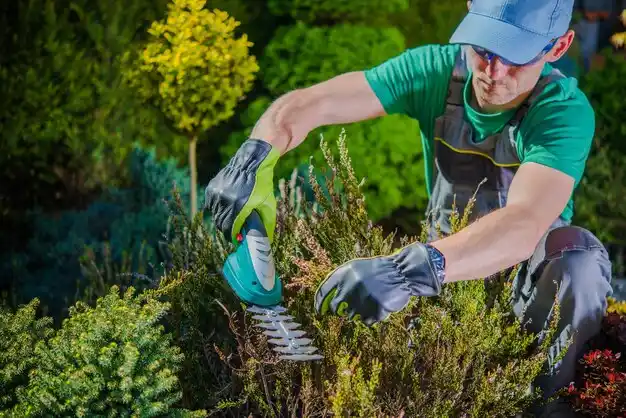 landscaping services Lynnview